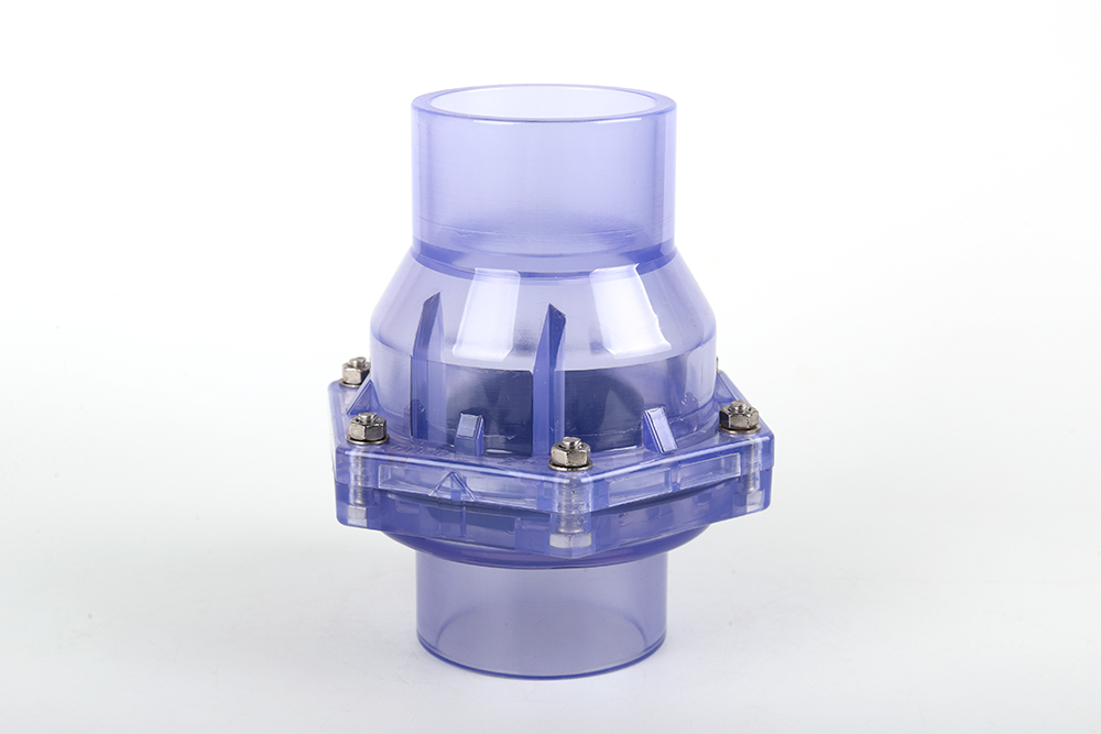 句容透明翻板式止回阀